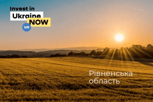 Річний оборот тіньових бурштинових копалень Рівненщини оцінюють у 200-300 млн дол.