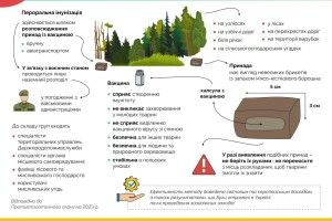 У великому районі на Волині радять не брати в лісі до рук ці принади