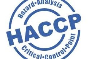 Держпродспоживслужба на Маневиччині навчала контролювати приготування їжі представників дитячого дошкілля