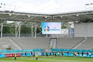 Куцохвостий волинський гуру спортивних прогнозів дав зрозуміти, хто кого взує у матчі між збірними України та Північної Македонії (Відео, анонс)