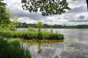 Більше не «нічиє»: на Волині суд захистив заповідне озеро