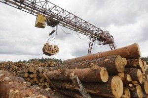 Гройсман заявив, що не хоче керувати країною-лісопилкою