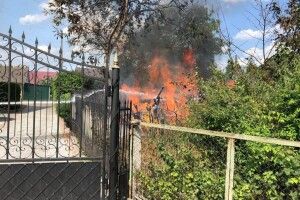 У місті на Волині біля стадіону сталася пожежа (Фото)