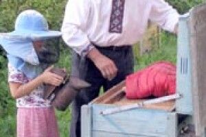 ЛІТЕЧКО ПРИЙШЛО: з дідусем на пасіці