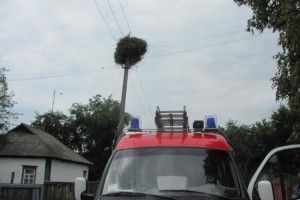 Рятувальники повернули в рідне гніздо необачне лелеченя