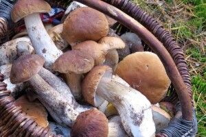 За кіло «білих» на «Варшавці» у Луцьку правлять 120–170 гривень