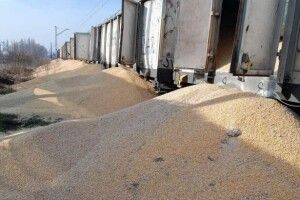 У Польщі кажуть, що близькі до угоди з Україною щодо імпорту збіжжя