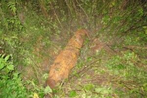 В Озютичах знищили авіаційну бомбу