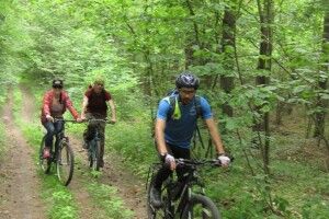 Волинські дереволюби крутили педалі навколо Жабки (фото)