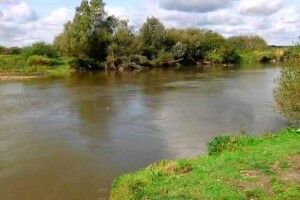 У Луцьку взято під варту чоловіка, який жорстоко побив жінку на березі Стиру