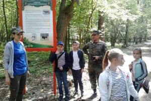 У Цуманській пущі діти вчилися вистежувати зубрів, оленів та кабанів (фото)