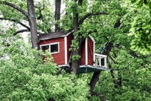 Українці почали будувати будинки на деревах