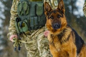 Нелегальна подорож «туристів» завершилась на українському кордоні (Фото)