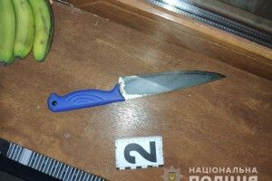 На Рівненщині жінка засадила ножа в живіт власному чоловікові, батьку її двох дітей (Фото)