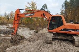 На Рівненщині відновлюють знищений старателями ліс (Фото)