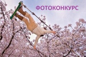Фотоконкурс Вишнівської ОТГ: визначили найкращі фото цвітучої вишні 