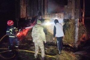У Сарненському районі вогонь знищив 2 тонни сіна