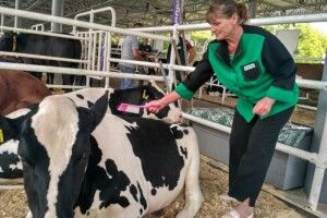 Чотирьом волинським господарствам присвоєно статус суб’єкта племінної справи у тваринництві