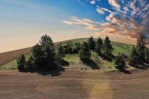 Як торгуватимуть українською землею, хто зможе купити?