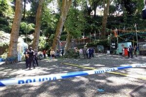 Дерево, що впало у Португалії, вбило 13 людей (фото)