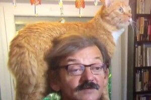 Кіт польського експерта увірвався в телевізійний сюжет за участю свого господаря