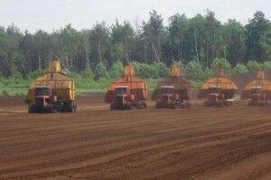 Володимире Петровичу, не знищуйте торф’яну галузь краю!