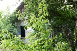 У громаді на Волині взяли на облік кілька покинутих будинків: власники ще мають шанс зберегти майно