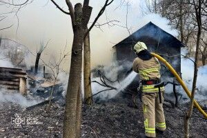 Волинь палає у вогні: тільки за добу 8 пожеж через людську недбалість