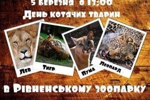 Сьогодні у Рівненському зоопарку – Міжнародний день котів!