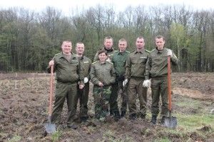 Цієї весни на Волині лісівники вже заклали понад 20 плантацій волоського горіха (фото)