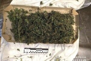 У жителя Рівненщини поліцейські вилучили наркотики та зброю (Фото)