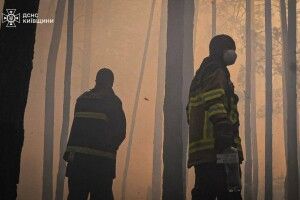 У Чорнобильській зоні вирує масштабна лісова пожежа (Фото)