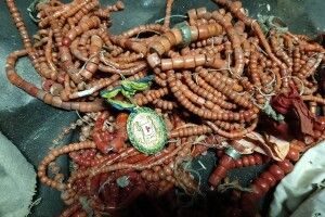 Коралі та золото: на Львівщині знайшли скарб, який ченці сховали від радянської влади (Фото)
