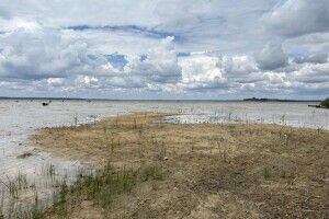 Дощі не допомогли: в озері Світязь знову впав рівень води