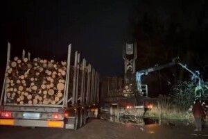 За перевантаження вантажівки деревиною водій на Волині отримав штраф