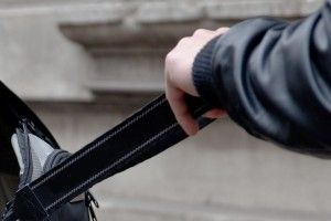 За один день злодій вкрав сумку, три велосипеди та сім кролів