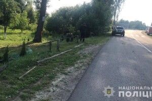 На Волині летальне ДТП: водій злетів з дороги 