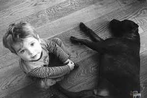 Домашні улюбленці можуть бути небезпечними!