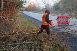 Волинян попереджають про сильний вітер і можливі поламані дерева на дорозі