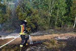 Один сірник – і палають поля: у двох районах Волині гасили пожежі сухостою