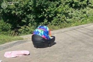 На Львівщині судитимуть батька, який забув про люльку з немовлям на даху свого автомобіля