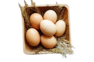 В одній бочечці ховаються, але не змішаються: найкращі рецепти страв з яєць