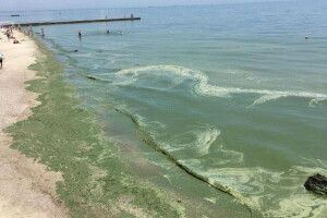 Одеса не готова до курортного сезону – заява влади