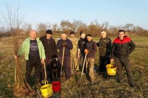 А біля ставка - «зелена» толока
