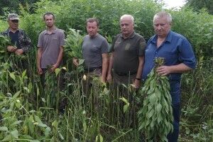 Звірина Цуманської пущі матиме що їсти взимку (Фото)