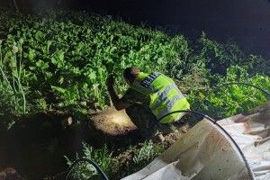 У Городку чоловік підірвався на гранаті – поліція підозрює самогубство (Фото)
