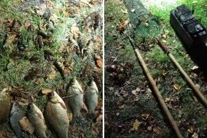 Чверть мільйона за карасів та раків: волинянам світить кримінальна справа