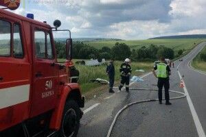 Моторошна ДТП на Львівщині: двоє загиблих і троє травмованих (Фото)