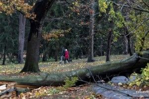 Вітер знеструмив 140 тисяч будівель