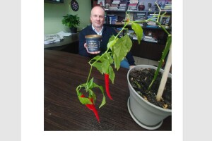 У газеті «Волинь» посипали вазони – і вони «ожили»!